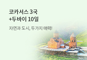 코카서스 3국
+두바이 10일