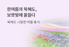 한여름의 북해도,
보랏빛에 물들다