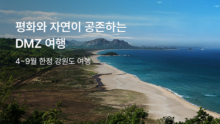 2026 강원특별자치도 <br> DMZ여행