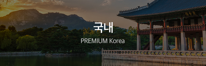 국내 PREMIUM KOREA