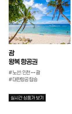 괌 왕복 항공권