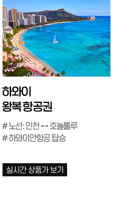 하와이 왕복 항공권