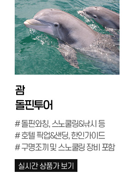 괌 돌핀투어