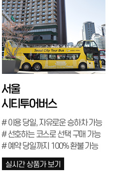 서울시티투어버스
