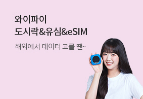 와이파이 도시락&유심