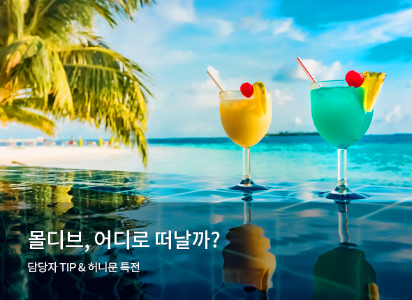 몰디브 어디로 떠날까