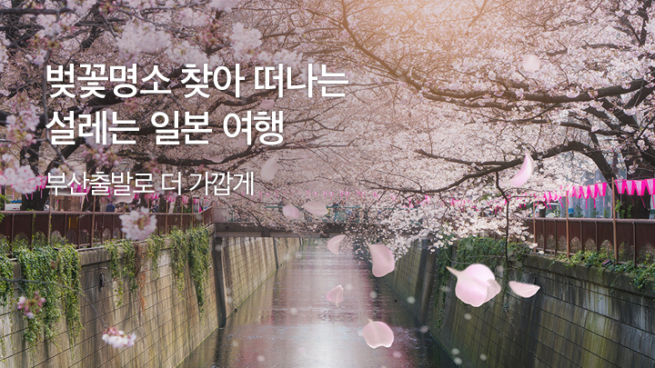 벚꽃명소 찾아 떠나는설레는 일본 여행
