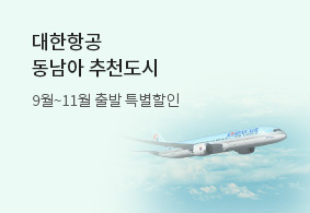 대한항공 특가