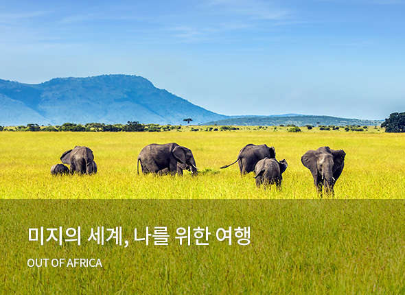 나를 위한 여행<br>OUT OF AFRICA