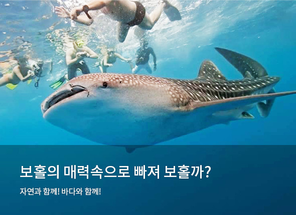 보홀의 매력속으로 빠져 보홀까?