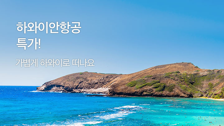 ALOHA~<br>하와이안항공!