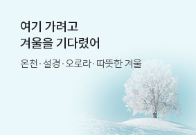 겨울타깃상품기획전