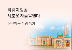티웨이항공 새로운 하늘을 열다