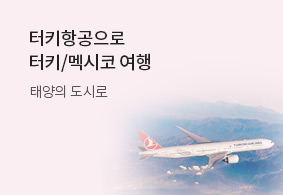터키항공