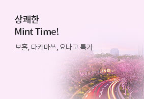 에어서울<br>상쾌한 Mint Time!