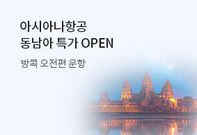 동남아 아시아나항공