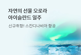 자연의 선물 오로라 아이슬란드 일주