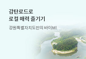 강원 로컬바이브<br>감탄로드 활성화 여행지원
