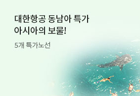 대한항공 동남아 특가<br> 특가노선