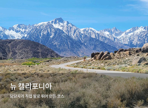 발로 뛰어 만든 코스<br>뉴 캘리포니아 