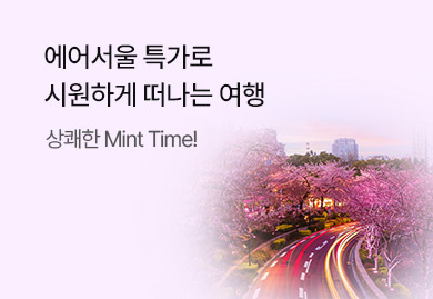 에어서울<br>상쾌한 Mint Time!