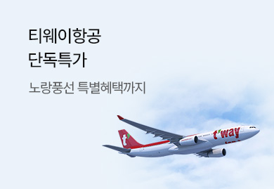 티웨이항공
단독특가