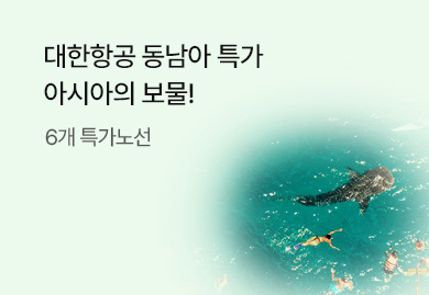 대한항공 동남아 특가<br> 특가노선