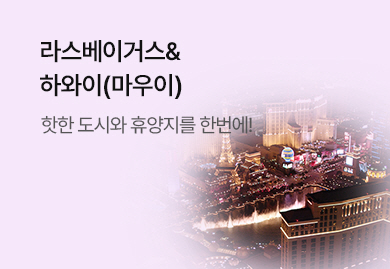 라스베이거스&하와이