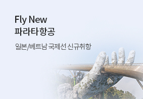 파라타항공 <br> 일본/베트남 신규취항