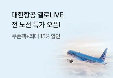 옐로LIVE 대한항공