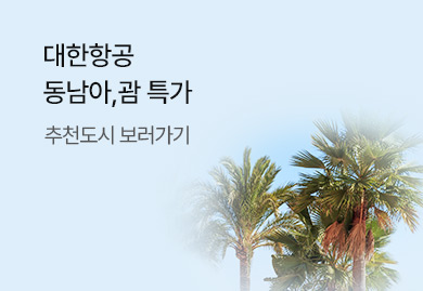 대한항공 특가
동남아&괌