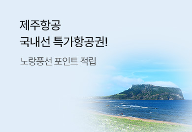 제주항공
 특가항공권