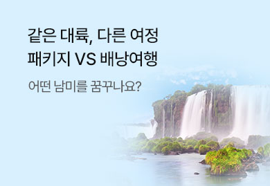 남미
패키지 VS 배낭여행
