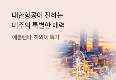 대한항공
애틀랜타,하와이