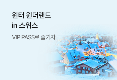 윈터 원더랜드
in 스위스