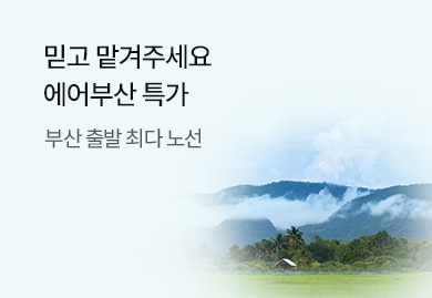 믿고 맡겨주세요
에어부산 특가