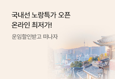 국내선 노랑특가 오픈! 국내선 최저가