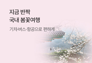 지금 반짝 국내 봄꽃여행