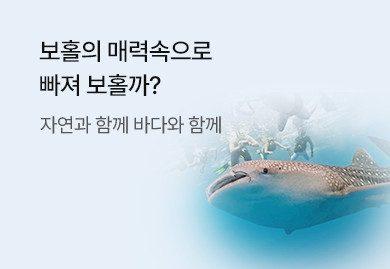 보홀의 매력속으로
빠져 보홀까?