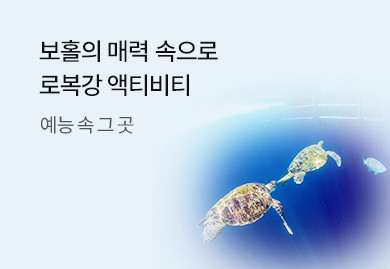 보홀의 매력속으로
빠져 보홀까?