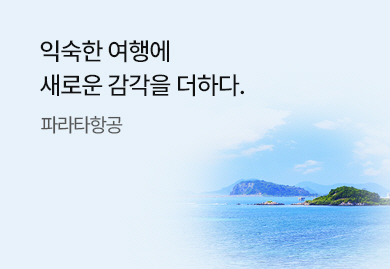 새로운 감각을 더하는 <br> 파라타 항공