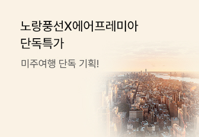 미주여행 에어프레미아
단독특가