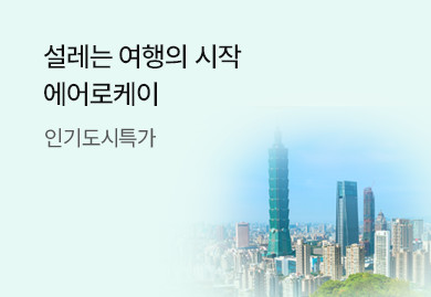 가볍게 떠나는 합리적인 항공
 에어로케이