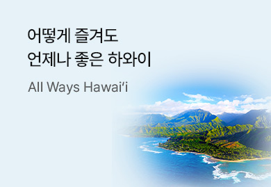 어떻게 즐겨도,
언제나 좋은 하와이