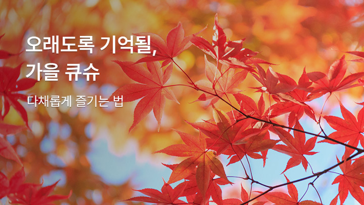 큐슈