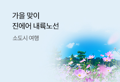 진에어
소도시여행