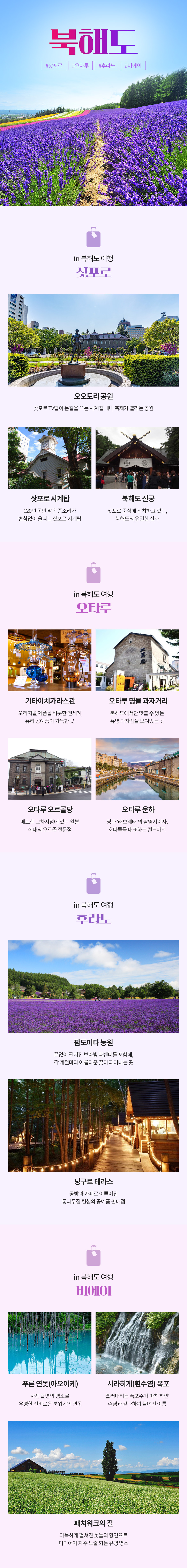 핵심정보 이미지