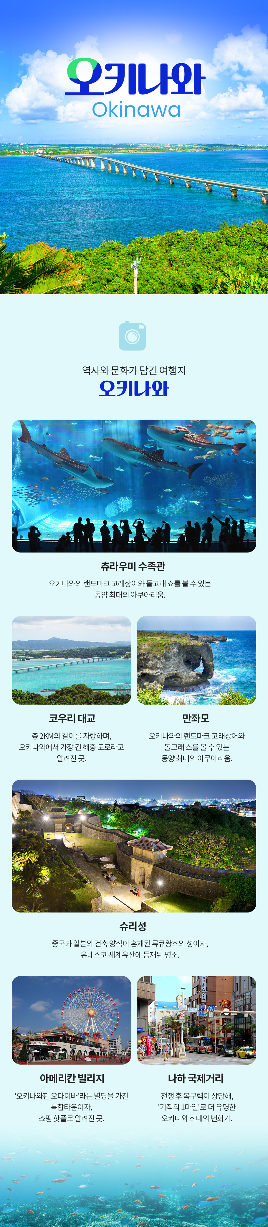 핵심정보 이미지