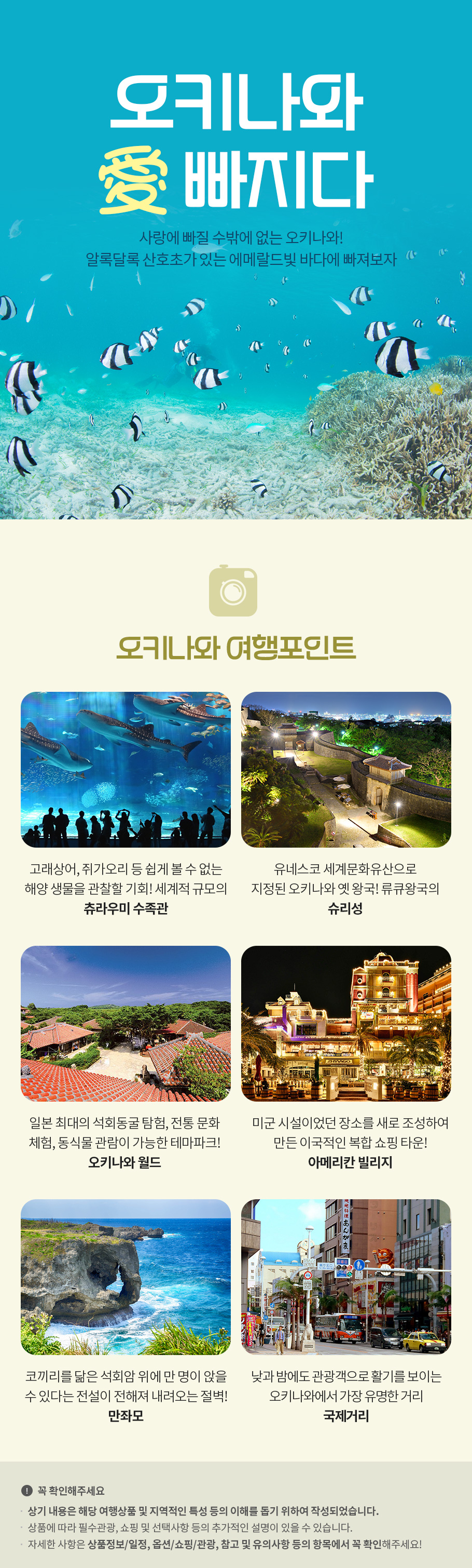 핵심정보 이미지