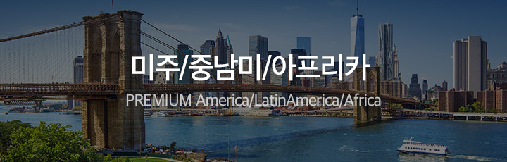 미주/중남미/아프리카 PREMIUM America/LatinAmerica/Africa